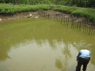 Entretien des étangs dans la pisciculture