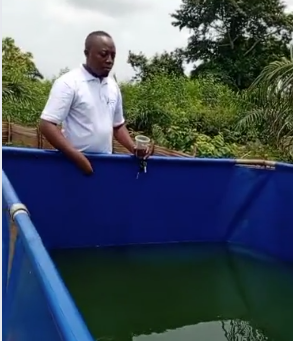 Quand et combien de fois faut-il nourrir les alevins et les poissons ?